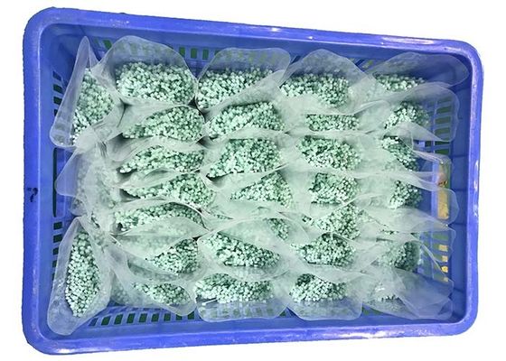 RAGGIUNGA il leggero verde le fascette ferma-cavo di nylon da 120 gradi 2.5mm